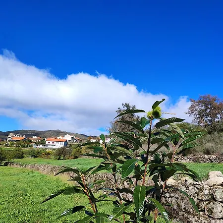 Casa Da Avo Ferienhaus