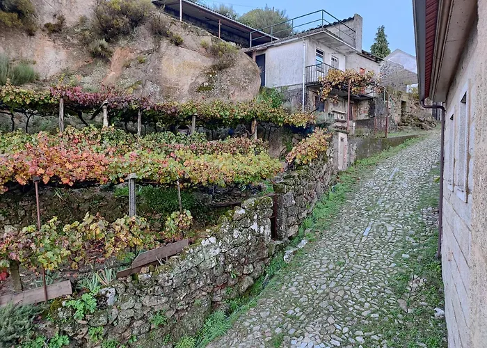 Casa Da Avo *