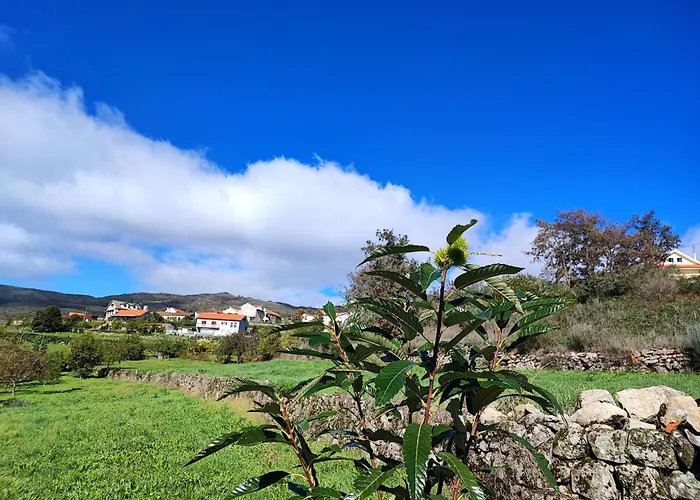 Casa Da Avo Holiday home